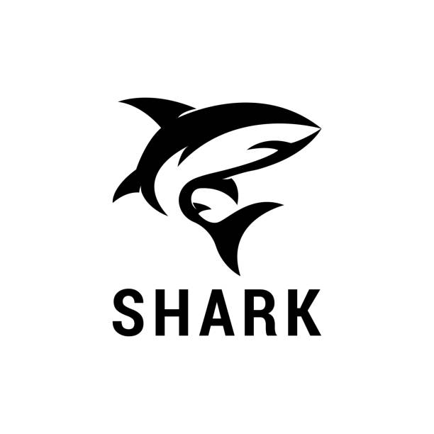 25,300+ Shark Stock Illustrations, Royalty-Free Vector Graphics & Clip ...