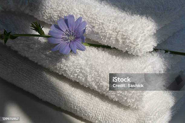 Handtücher Für Bad Und Blauen Blumen Stockfoto und mehr Bilder von Badezimmer - Badezimmer, Bathroom, Baumwolle