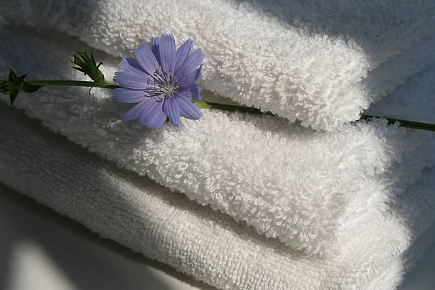 towels for bath and blue flower stock photo
