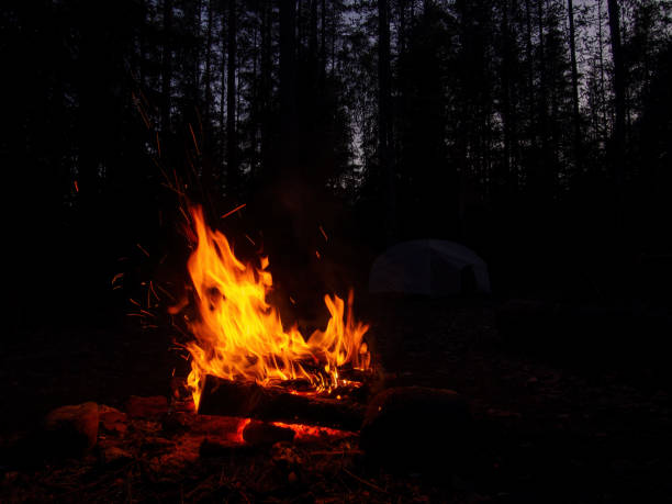 istock Abstract flame of fire from a campfire on a black background 1399760384
