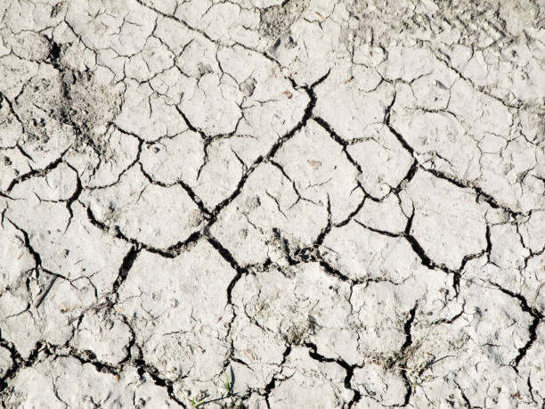 Parched ground stock photo