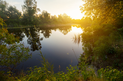 quiet river with forest on coast at the sunset, evening summer outdoor scene