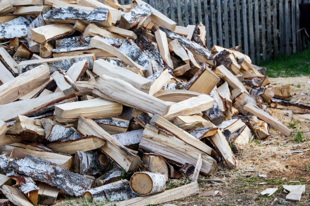 istock Chopped firewood in the village 1399764519
