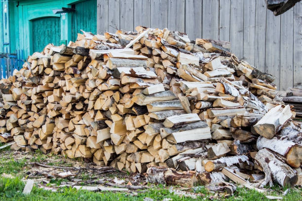 istock Chopped firewood in the village 1399764608