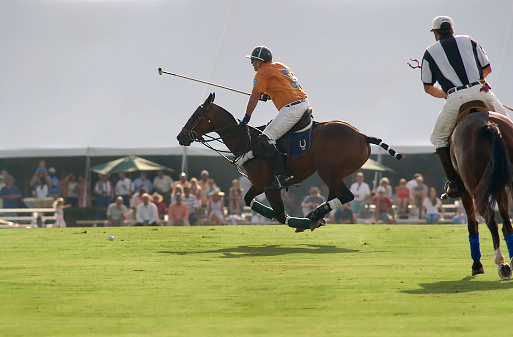 Polo player chasing after the ball with horse in mid-air