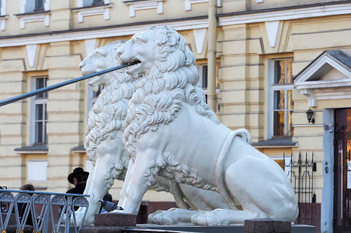 Sculptures of a lions on the Lion Bridge. Lion's bridge, pedestrian bridge over the Griboyedov Canal, St. Petersburg, Russia