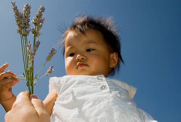 sweet baby with laveder stock photo