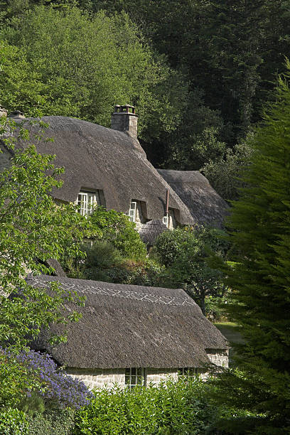 istock Thatched cottages in woods 139976537
