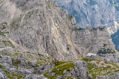 View to cross on summit of mountain Hochlantsch and mountain Rennfeld in Styria, Austria