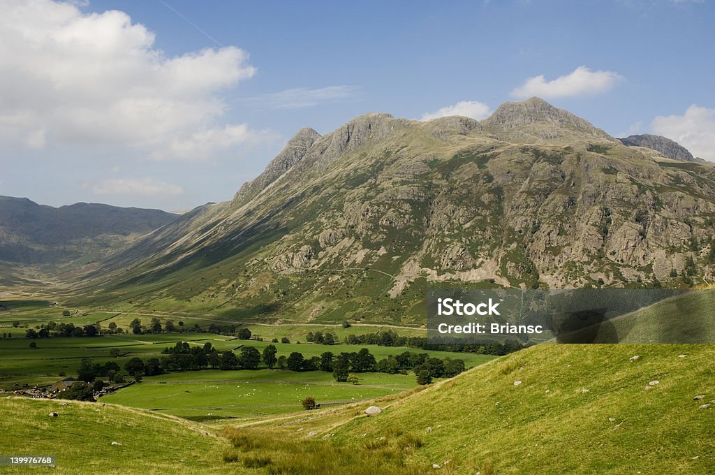 Lake District - Foto de stock de Agricultura royalty-free