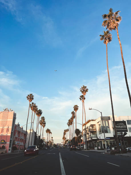 istock Streets of LA 1399770394