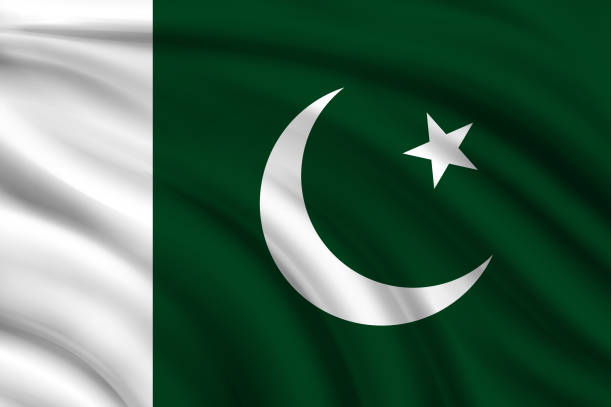 ilustrações de stock, clip art, desenhos animados e ícones de flag of pakistan - bandeira do paquistão