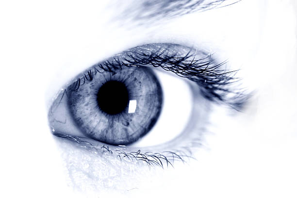 istock Closeup shot of blue 139977397