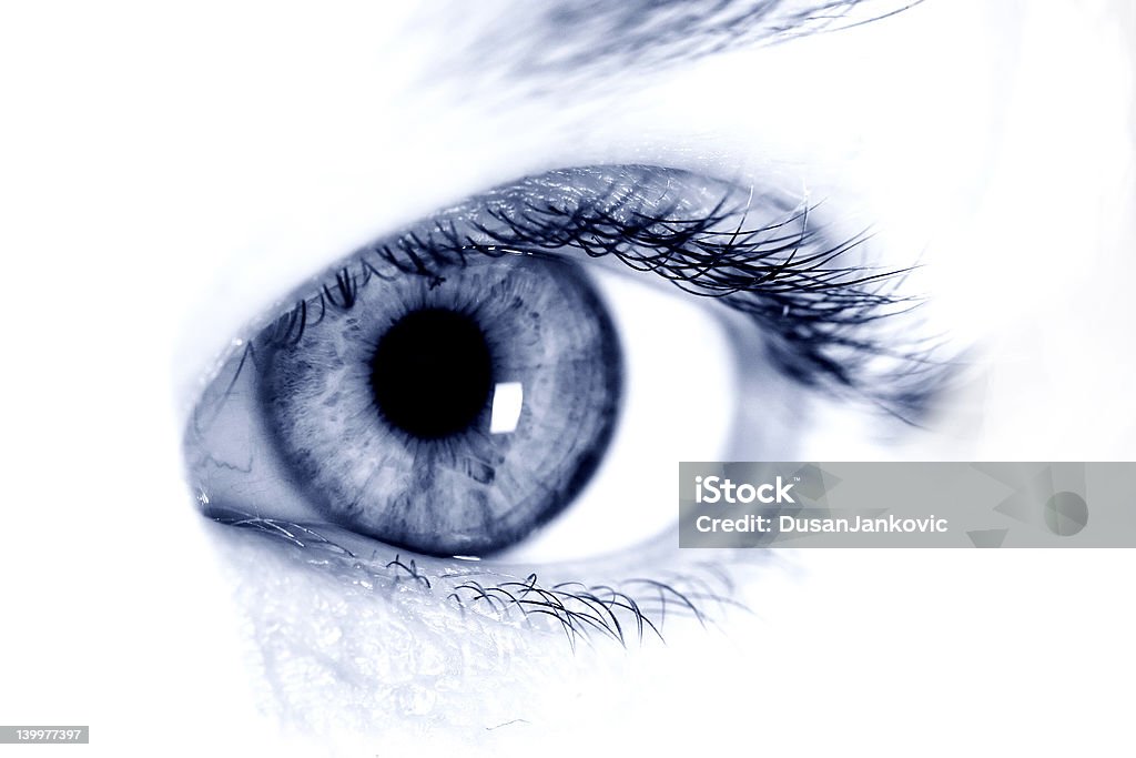 Closeup shot of blue Closeup shot of blue eye on white background Adult Stock Photo