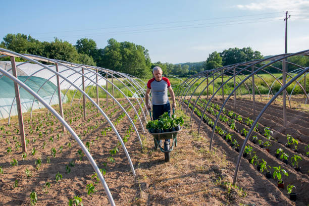 istock Farmer working on sowing season. 1399774490
