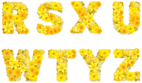 font with yellow flowers