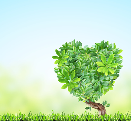 Idyllic scenery with green grass, blue sky and tree with heart-shaped crown. Responsible consumption. Heart made from green leaves in meadow. Love of nature. Eco-friendly and ecology concept