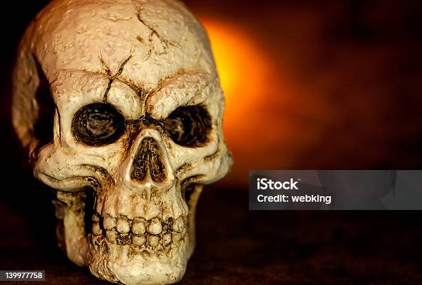 Skull Stock Photo - Download Image Now - Anatomy, Ancient, Animal Bone