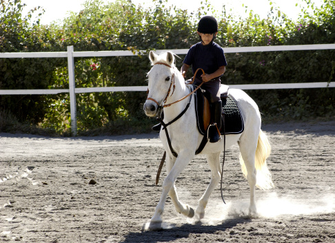 Eight year old riding a white horse