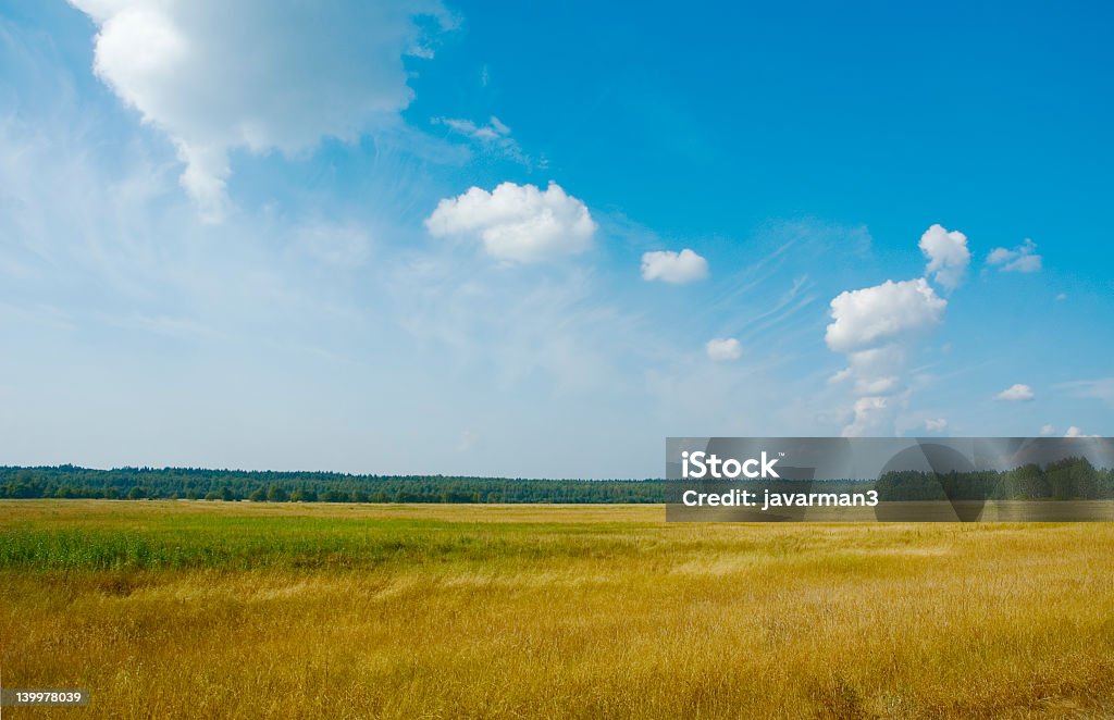 Ländliche Landschaft - Lizenzfrei Agrarbetrieb Stock-Foto