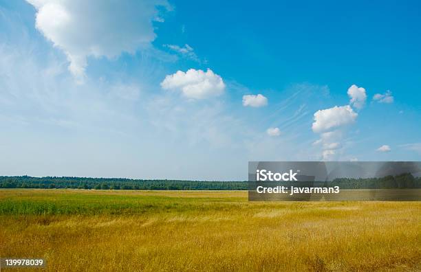 Ländliche Landschaft Stockfoto und mehr Bilder von Agrarbetrieb - Agrarbetrieb, Biegung, Bildhintergrund