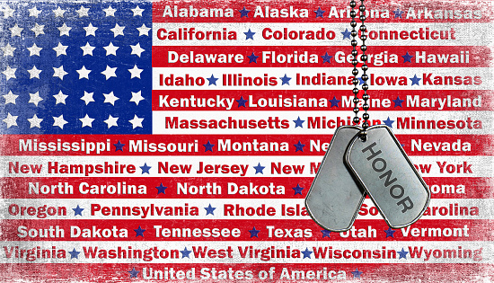 Politician dressed in suit jacket and tie wearing American Flag pin in front of National Flag. Image shot 5D Mark2, 100 ISO, 24-105mm f/4L IS USM lens.