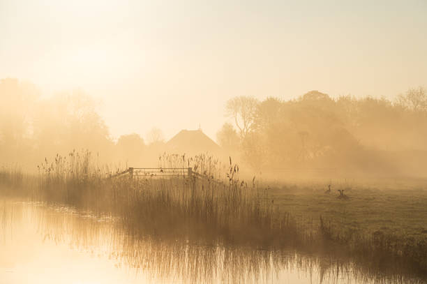 туман, голландская сельская местность - polder стоковые фото и изображения