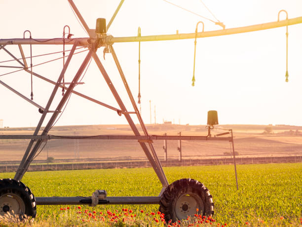 istock Center Pivot Irrigation System in ecological field. 1399792181