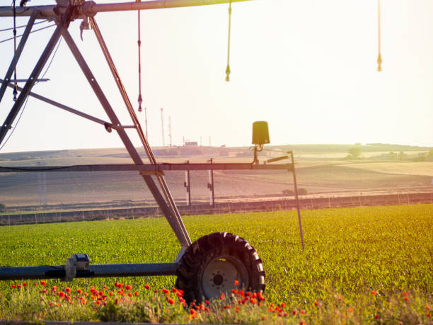 istock A center pivot sprinkler watering a sustainable farm. 1399792409