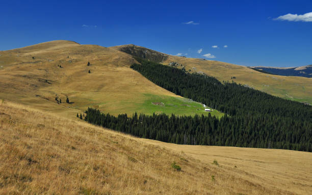 istock Autumn scenery in Carpathia 1399792515