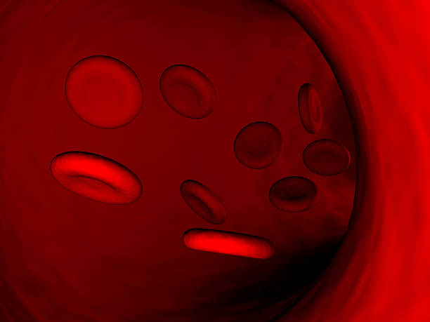 Blood stock photo