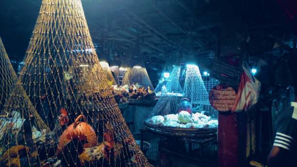 istock Light and life in the cage... 1399793622