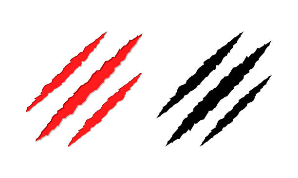 Claws scratches on white background. Red and black trail from animal claws. Torn background paw beast. Claws scratches on white background. Red and black trail from animal claws. Torn background paw beast. Vector icons. claw scratch stock illustrations