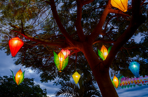 Decoración festa junina - globos iluminados y mazorcas de maíz decorativas que cuelgan de un árbol photo