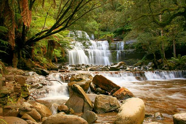 Liffey falls, Tasmania. stock photo