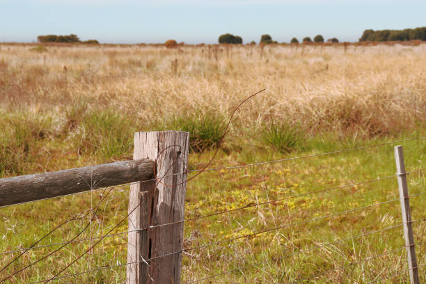 istock post and wire fence in field 1399797573