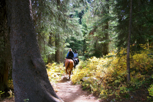 two cowgirls riding horses in the forest