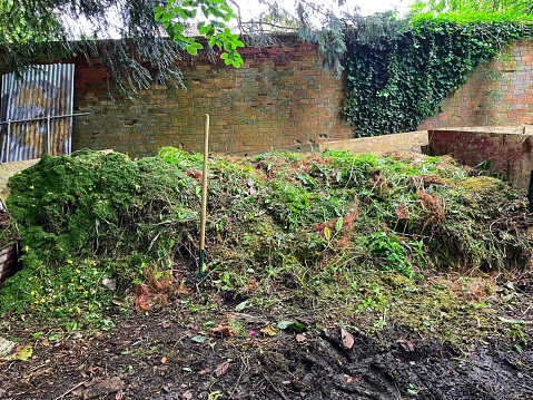 Stock photo showing homemade compost heaps in a shady corner of a garden, next to a wall and path. These simple compost heaps are made using old lengths of plywood wood, and provide an easy way to recycle garden waste (lawn clippings, weeds and leaves) and some kitchen waste (fruit and vegetable peelings).