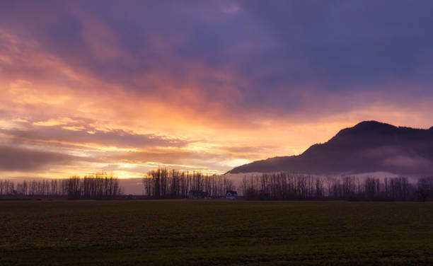 Panoramic View of Farm lands and Canadian Mountain Nature Landscape. Farm lands and Canadian Mountain Nature Landscape. Dramatic Winter Sunset. Located near Chilliwack and Abbotsford, British Columbia, Canada. abbotsford canada stock pictures, royalty-free photos & images