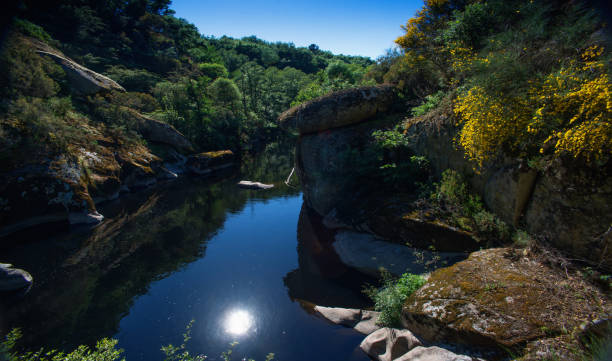 istock Mountain gorge with a river among the green forest 1399804361