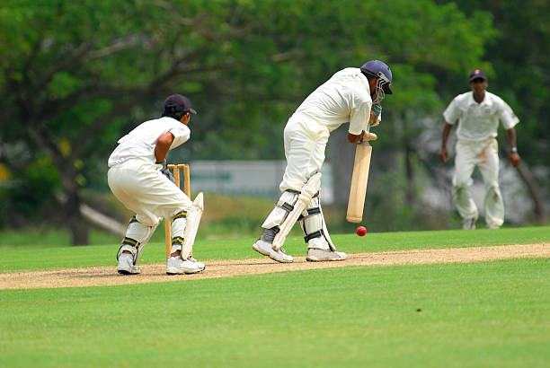 cricket bateador y un receptor - críquet fotografías e imágenes de stock