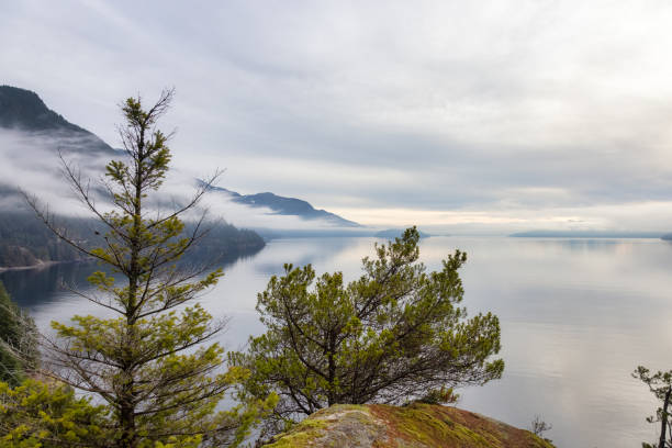 istock Scenic Canadian Nature View on the Pacific West Coast 1399807018
