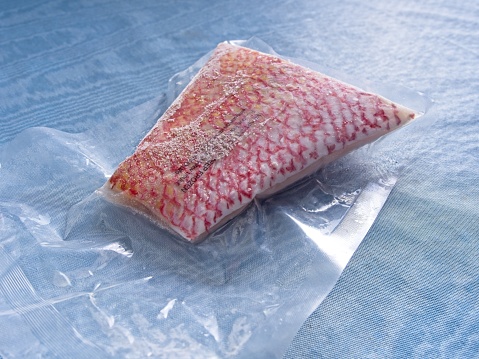 Frozen Red Snapper fish still in the protective plastic showing the red skin of this warm water white fish. Fish on blue table background.