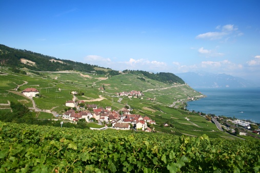 The Vineyards of Lavaux