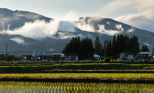 A telephoto long exposure image of clouds hugging a mountain range in the background being moved in various directions by the wind. In the foreground is a farm field filled with water and rice plant seedlings starting to grow.