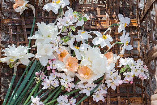 Locally grown flowers, daffodils, apple blossom