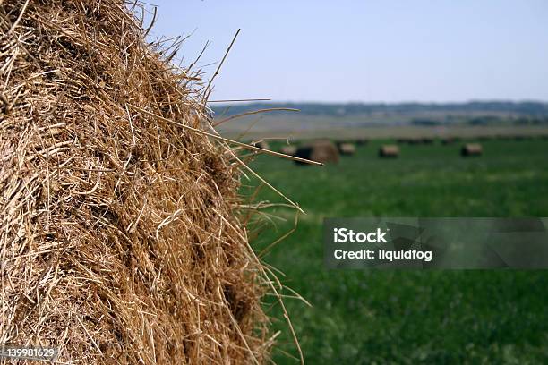 Macro Hay Bale Stock Photo - Download Image Now - Agricultural Field, Agriculture, Bale