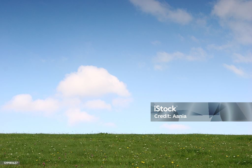 Meadow encontra o céu: - Foto de stock de Azul royalty-free