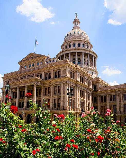 capitolio del estado de texas - texas state flag texas dome austin texas fotografías e imágenes de stock