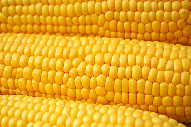 kukurydza na cobb - corn on the cobb zdjęcia i obrazy z banku zdjęć